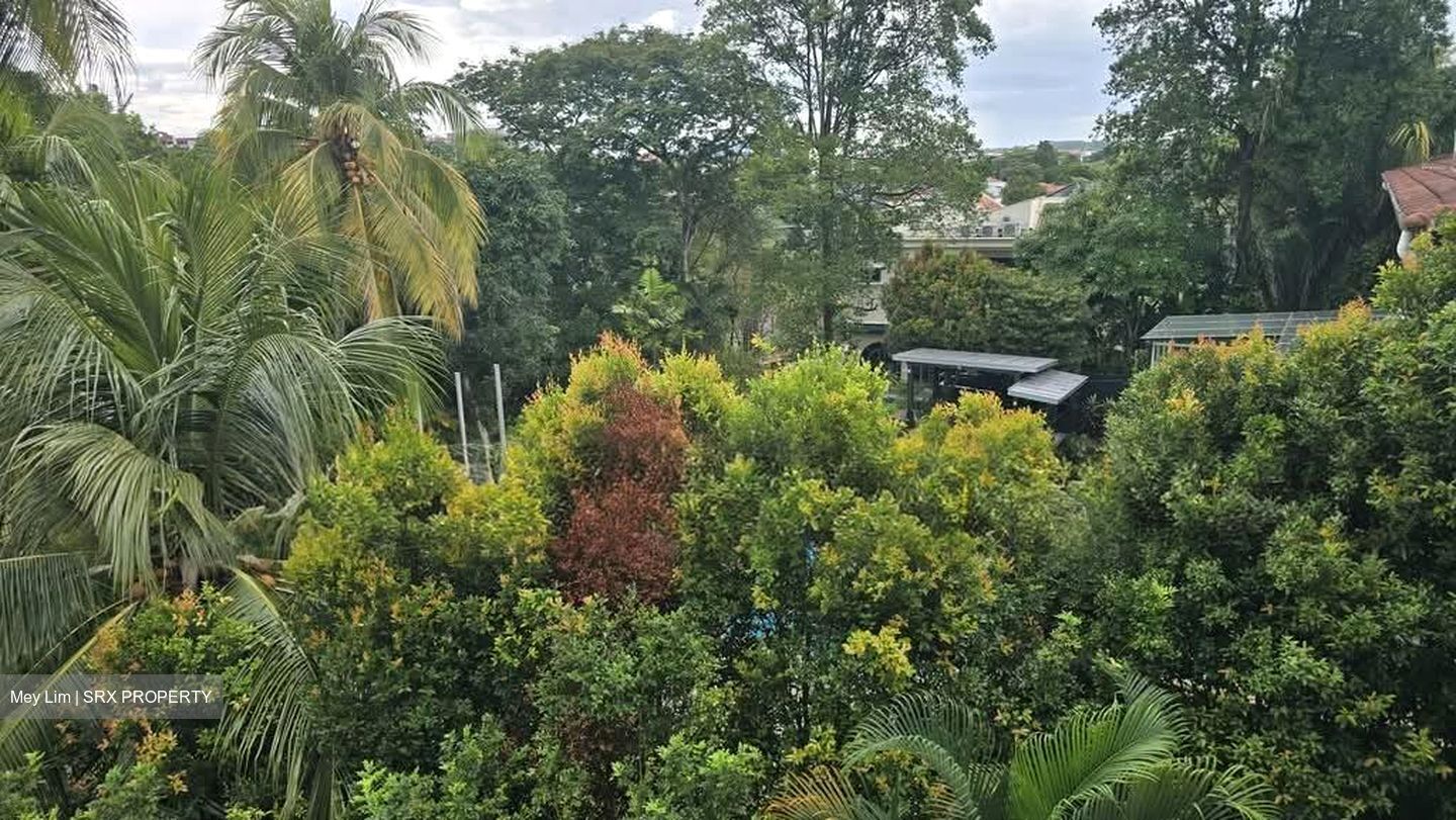 Holland Road (D10), Detached #568091731
